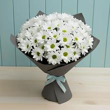 Букет цветов из:  Хризантемы в Вознесенской Краснодарского края
