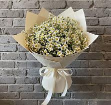 Букет цветов из:  Ромашки #REPLACE_PRED# Вознесенской Краснодарского края