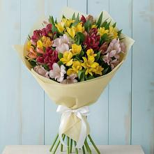 Букет цветов из:  Альстромерии в Вознесенской Краснодарского края