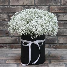 Цветочная композиция из Гипсофила в шляпной коробке #REPLACE_PRED# Вознесенской Краснодарского края