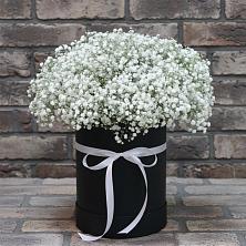Цветочная композиция из Гипсофила в шляпной коробке в Вознесенской Краснодарского края
